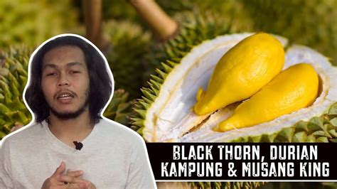 Black Thorn Durian Kampung And Musang King Youtube