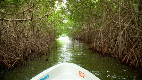 Chacahua Lagoons National Park Day Trip From Puerto Escondido Lupon