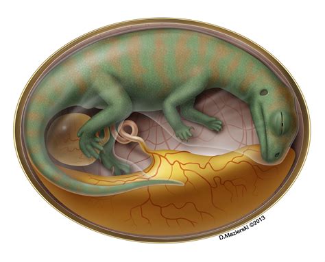 World's oldest dinosaur embryo bonebed yields organic remains