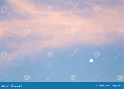 Twilight Blue Purple Sunset Sky Stock Photo Image Of Background