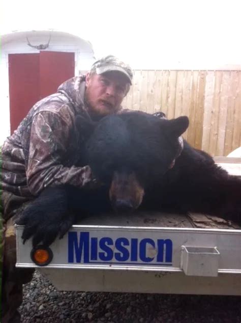 Black Bear Gallery Caribou Cove Outfitters Big Game Hunting In