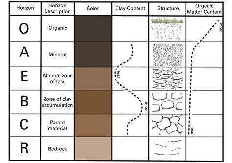 Soil horizons – Introduction to Soil Science