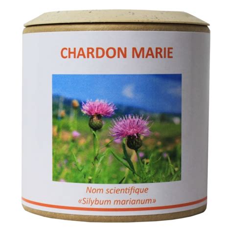 Chardon Marie G Lules Foie Digestion Sentier Nature