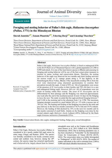 (PDF) Foraging and nesting behavior of Pallas’s fish eagle, Haliaeetus ...