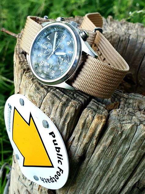 Buried Treasure! | WatchCrunch