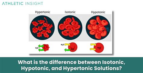 Isotonic Solution: Definition, How it Works, Examples, and Benefits ...