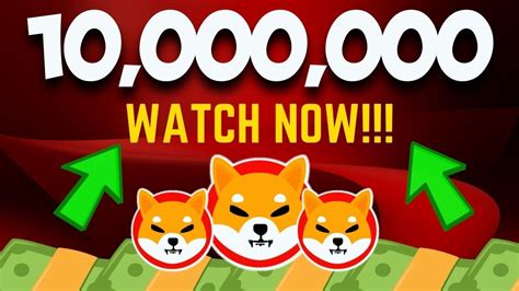 SHIBA INU NEWS TODAY IF YOU HOLD 10 000 000 SHIB TOKENS YOU NEED TO