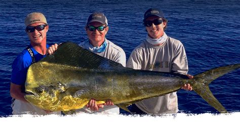 Florida Keys Fishing Vacation Package - Unique Fish Photo