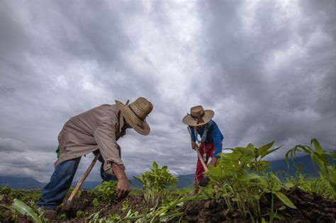 M Xico Impulsar Programa Para El Desarrollo Rural Sustentable