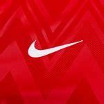 Nike Trikot Dri Fit Challenge V Rot Wei Unisportstore De