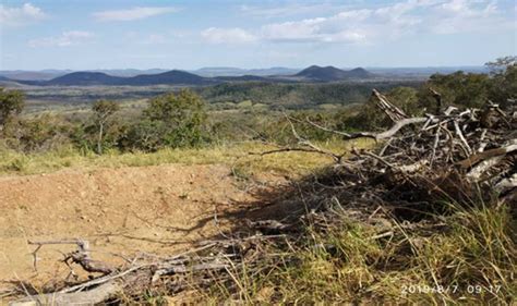 Polícia Militar Ambiental autua infrator em R 9 mil por desmatamento