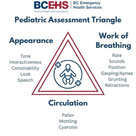 Pediatric Assessment Triangle