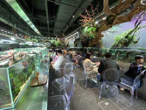 Aquagarden Cafe And Aquarium Lotte World Seoul Chineu Flickr