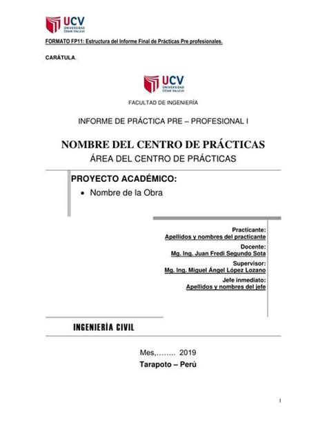 Informe De Practica Pre Profesional Edgar Gonzales Udocz