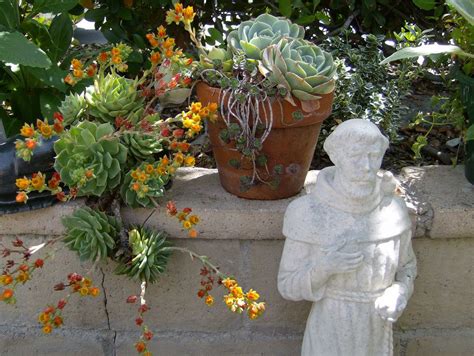 Succulent Sculpture Garden