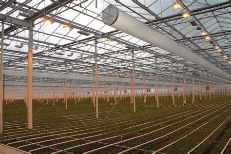 Nieuwbouw Lugt Lisianthus Officieel Geopend Hortipoint