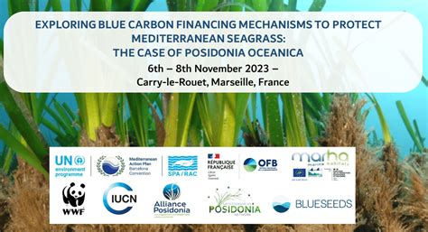 News Mediterranean Posidonia Network