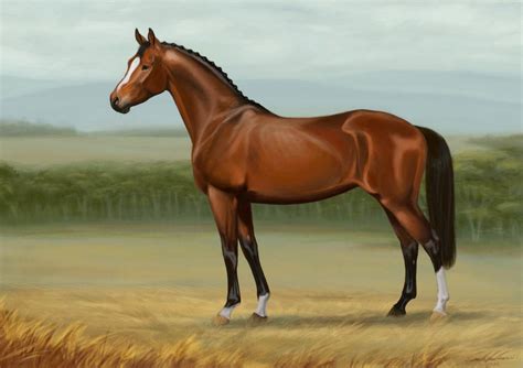 Cuadros Modernos Pinturas y Dibujos : Hermosos Caballos Pintados al ...