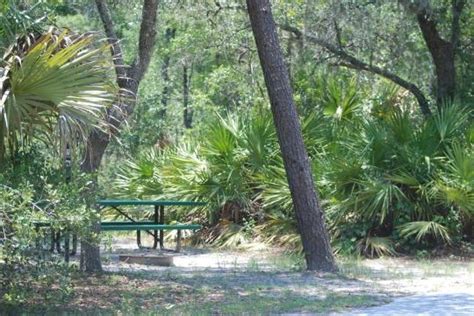 Ocala National Forest Alexander Springs Campground Altoona Fl Gps Campsites Rates Photos