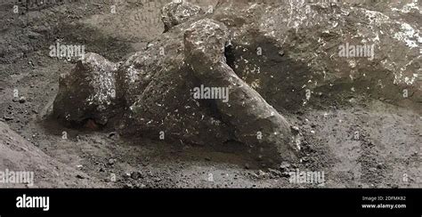 Handout Photo Of The Remains Of Two Men Found In A Villa In Pompeii