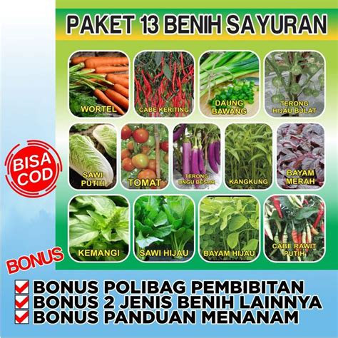 Jual Paket Hemat Benih Sayuran Bonus Polibag Semai Pupuk Npk