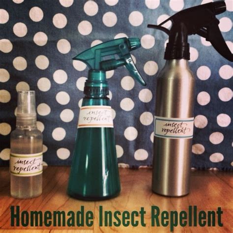 Homemade Insect Repellent