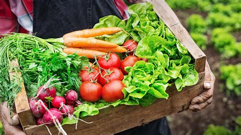 Agricultura Org Nica O Que Quais Suas Vantagens E O Cen Rio Brasileiro