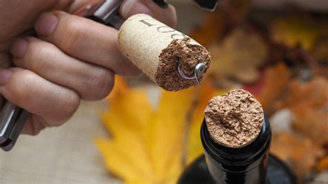 Cork Catastrophe When The Cork Fell Into The Wine Bottle