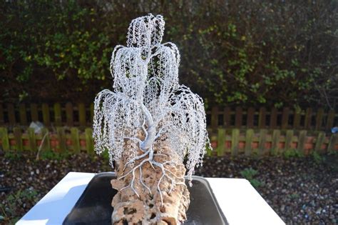 Pin By Lee Denton On Resin Wood And Wire Weeping Willow Tree Tree