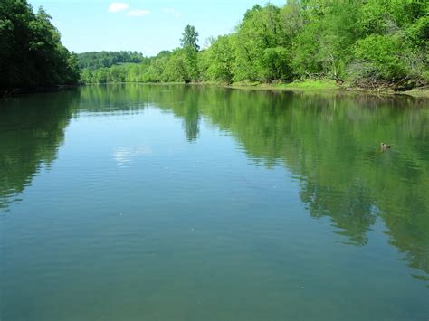 Holston River - MIDDLE TENNESSEE FLY FISHERS