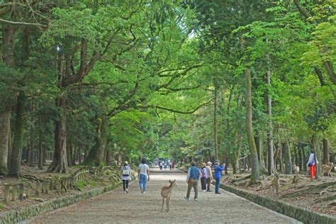 5月22日は国際生物多様性の日 Acart Catsitting