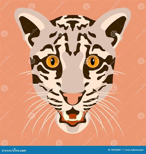 Clouded Leopard Vector Head Face Stock Vector Illustration Of Hunter