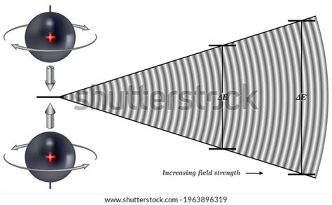 Energy Differences Between Nuclear Spin States Stock Vector (Royalty ...