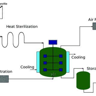 scheme   fermentation process   fed batch bioreactor