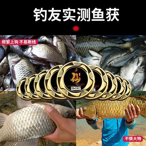 釣魚釣線 魚線主線 子線 釣魚線 超強拉力 路亞線 漁具用品 臺釣線 正品尼龍線 露天市集 全台最大的網路購物市集