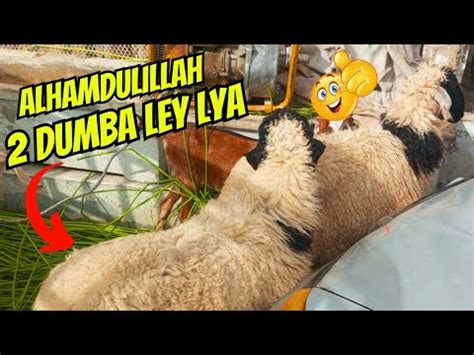 ALHAMDULILLAH Eid Ka Pehla Din 2 Dumba Le Lia Eid First Day