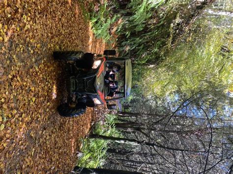 From Madeira Private Buggy Driving Experience With Pickup