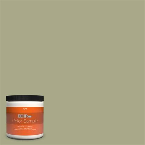 Behr Premium Plus Oz S Meditation Time Flat Interior Exterior