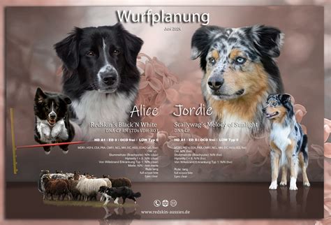 Australian Shepherd Kaufen Und Welpe Aus Redwitz An Der Rodach