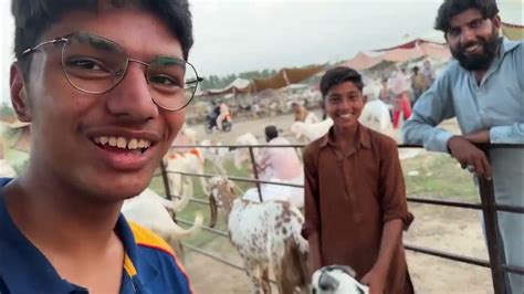 Mandi Se Qurbani Ka Bakra Le Liya 🐐😍 Mehenga Liya Ya Sasta 😱 Youtube