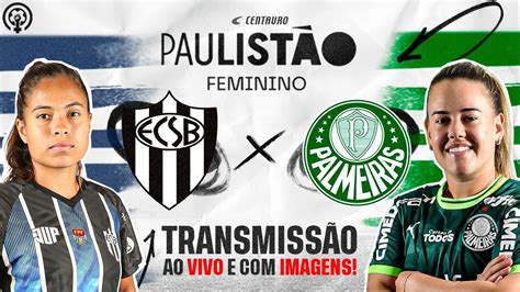 S O Bernardo X Palmeiras Transmiss O Ao Vivo E Imagens