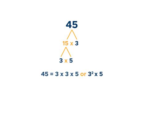 Prime Numbers: Factorization & Factor Tree - Curvebreakers