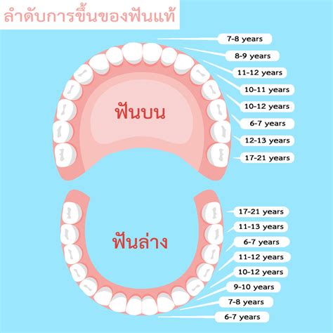 รวมกัน 103 ภาพพื้นหลัง ประเภทของการโรยตัวมีอยู่ทั้งหมดกี่แบบ ใหม่ที่สุด