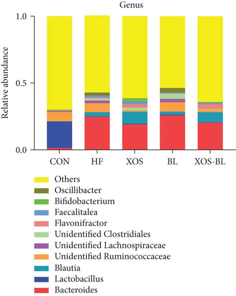 Composition Analysis Of Gut Microbiota At Different Taxonomic Levels