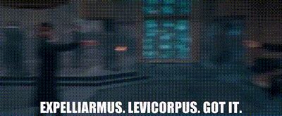 YARN Expelliarmus Levicorpus Got It Harry Potter And The