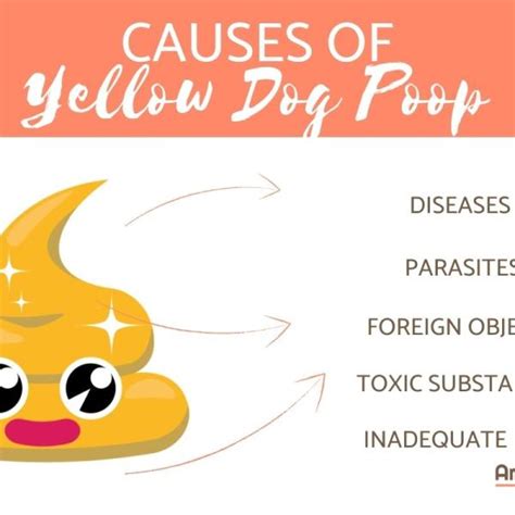 What Causes Light Colored Diarrhea | Americanwarmoms.org