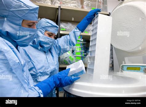 Cryonics crioconservación de muestras en nitrógeno laboratorio