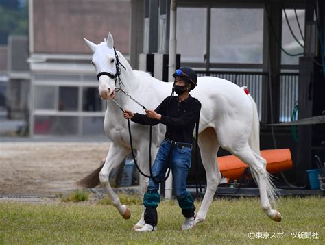 東スポ 写真部 On Twitter 【競馬】2022年5月12日 ヴィクトリアマイル ソダシ 東スポ競馬 競馬 栗東トレセン