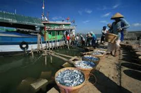 Contoh Kegiatan Produksi Dan Faktor Pendukungnya