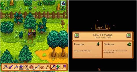 How To Quickly Level Up Foraging In Stardew Valley Gametaco